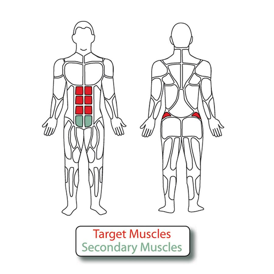 Muscle Groups for 2-Person Incline Sit-Up Bench