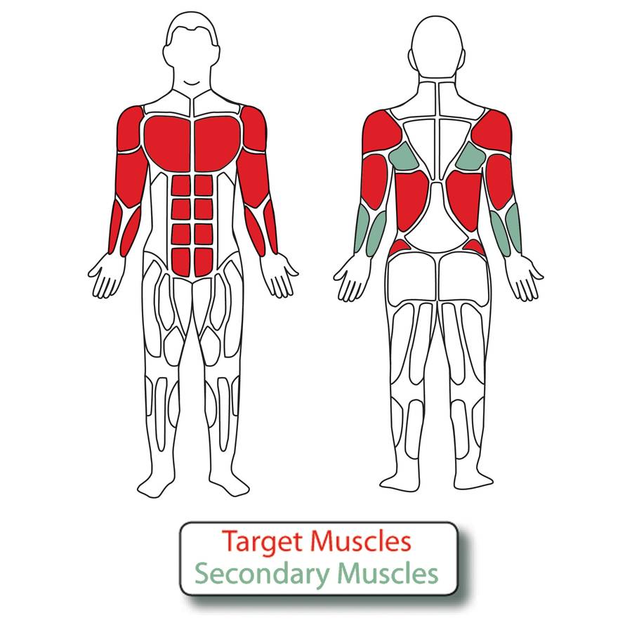 Muscle Groups for 8-Person Linear Combo